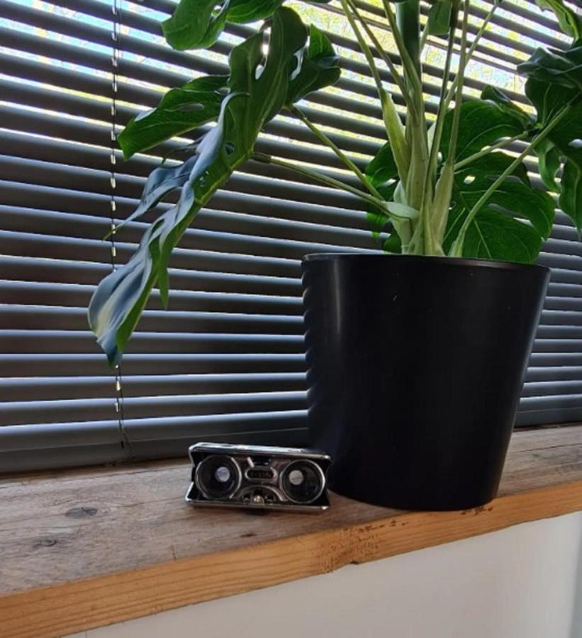 Studio Tussen De Bossen En De Bollenvelden Noordwijkerhout Kültér fotó